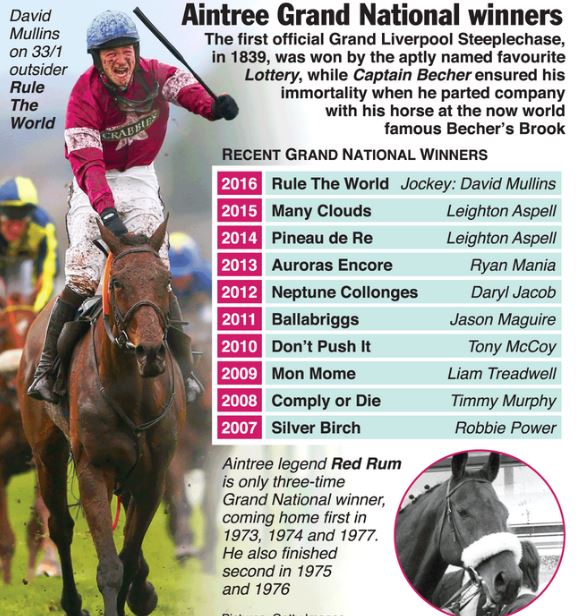 Grand National Infographic  